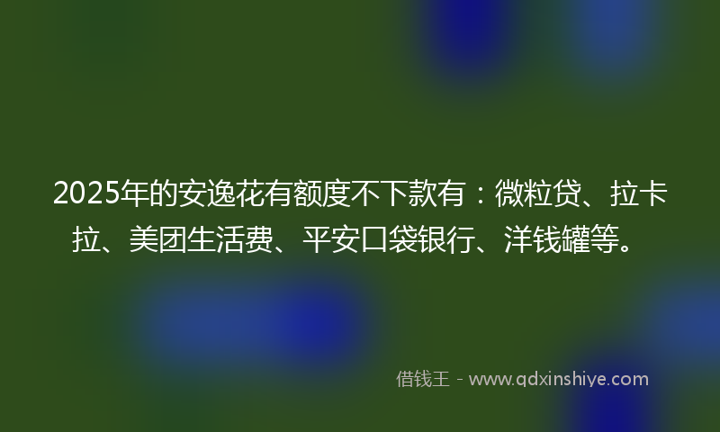 2025年的安逸花有额度不下款有：微粒贷、拉卡拉、美团生活费、平安口袋银行、洋钱罐等。