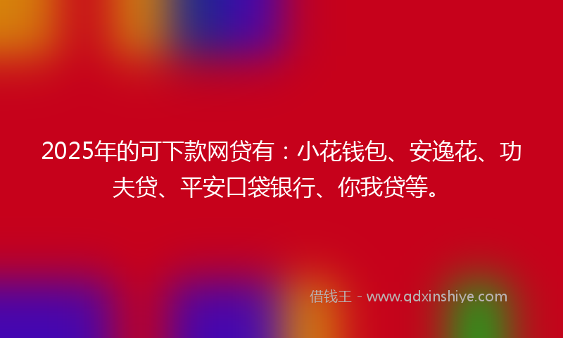 2025年的可下款网贷有：小花钱包、安逸花、功夫贷、平安口袋银行、你我贷等。