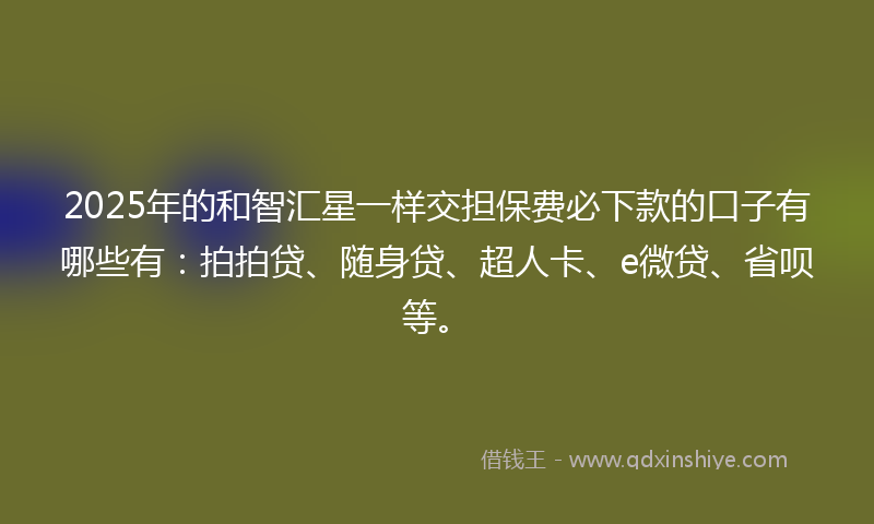 2025年的和智汇星一样交担保费必下款的口子有哪些有：拍拍贷、随身贷、超人卡、e微贷、省呗等。