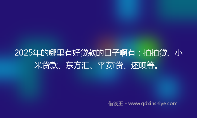 2025年的哪里有好贷款的口子啊有：拍拍贷、小米贷款、东方汇、平安i贷、还呗等。