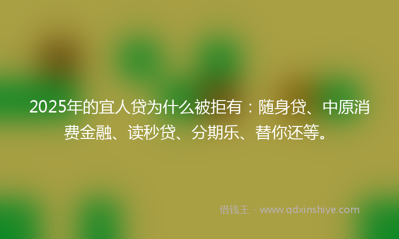 2025年的宜人贷为什么被拒有：随身贷、中原消费金融、读秒贷、分期乐、替你还等。