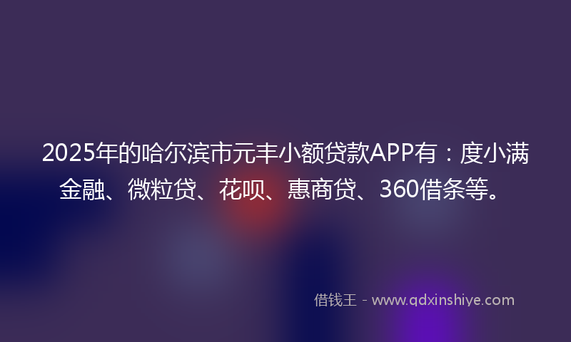 2025年的哈尔滨市元丰小额贷款APP有：度小满金融、微粒贷、花呗、惠商贷、360借条等。