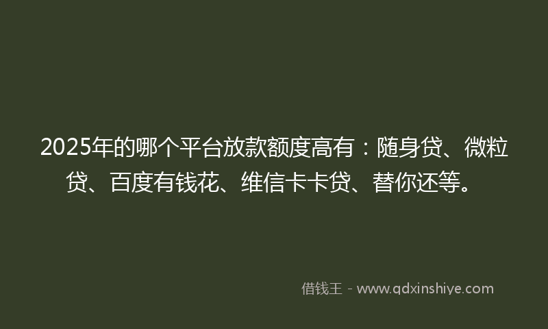 2025年的哪个平台放款额度高有：随身贷、微粒贷、百度有钱花、维信卡卡贷、替你还等。