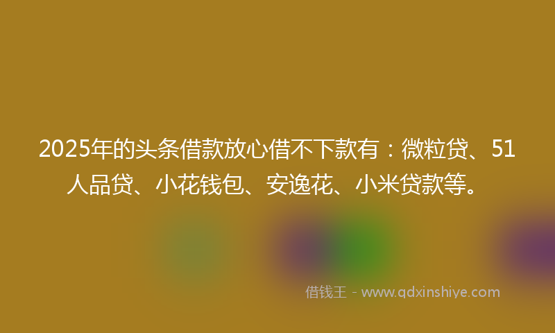 2025年的头条借款放心借不下款有：微粒贷、51人品贷、小花钱包、安逸花、小米贷款等。