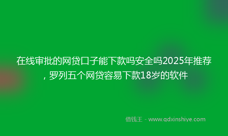 在线审批的网贷口子能下款吗安全吗2025年推荐，罗列五个网贷容易下款18岁的软件