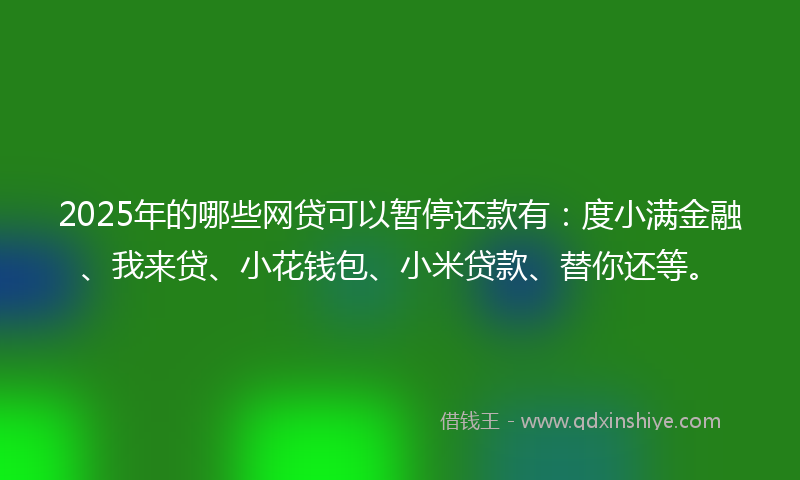 2025年的哪些网贷可以暂停还款有：度小满金融、我来贷、小花钱包、小米贷款、替你还等。