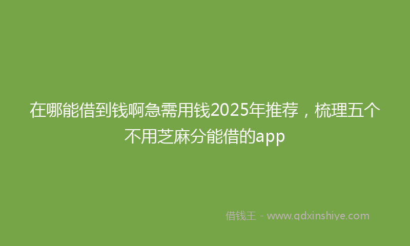 在哪能借到钱啊急需用钱2025年推荐，梳理五个不用芝麻分能借的app