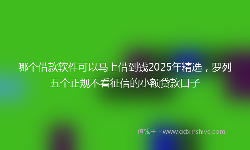 哪个借款软件可以马上借到钱2025年精选，罗列五个正规不看征信的小额贷款口子