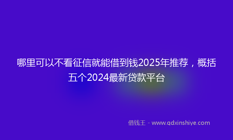哪里可以不看征信就能借到钱2025年推荐，概括五个2024最新贷款平台