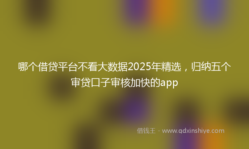 哪个借贷平台不看大数据2025年精选，归纳五个审贷口子审核加快的app
