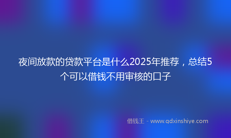 夜间放款的贷款平台是什么2025年推荐，总结5个可以借钱不用审核的口子