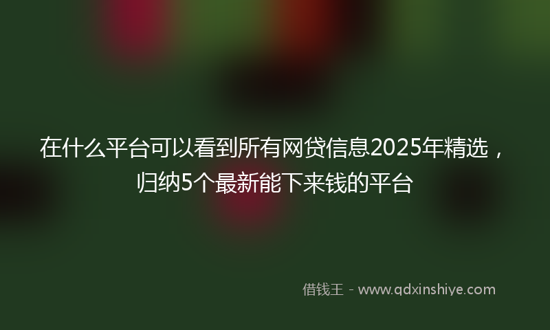 在什么平台可以看到所有网贷信息2025年精选，归纳5个最新能下来钱的平台