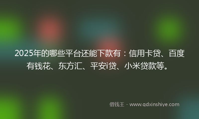 2025年的哪些平台还能下款有：信用卡贷、百度有钱花、东方汇、平安i贷、小米贷款等。