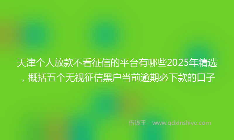 天津个人放款不看征信的平台有哪些2025年精选，概括五个无视征信黑户当前逾期必下款的口子