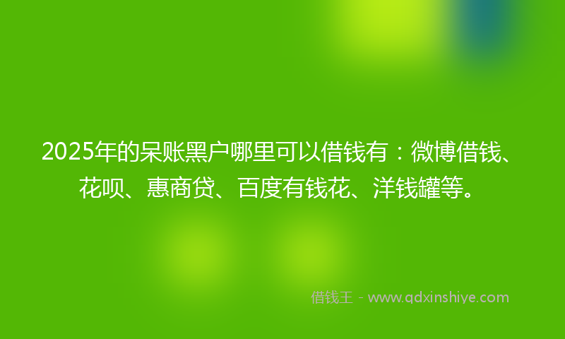 2025年的呆账黑户哪里可以借钱有：微博借钱、花呗、惠商贷、百度有钱花、洋钱罐等。