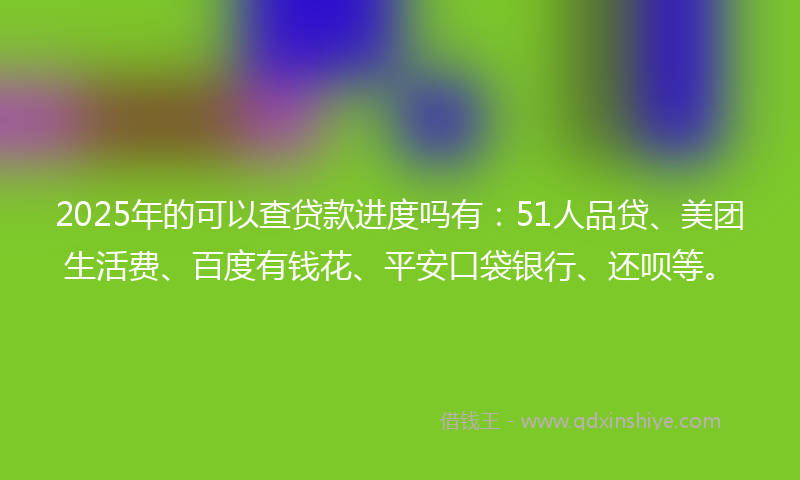 2025年的可以查贷款进度吗有：51人品贷、美团生活费、百度有钱花、平安口袋银行、还呗等。