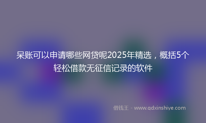 呆账可以申请哪些网贷呢2025年精选，概括5个轻松借款无征信记录的软件