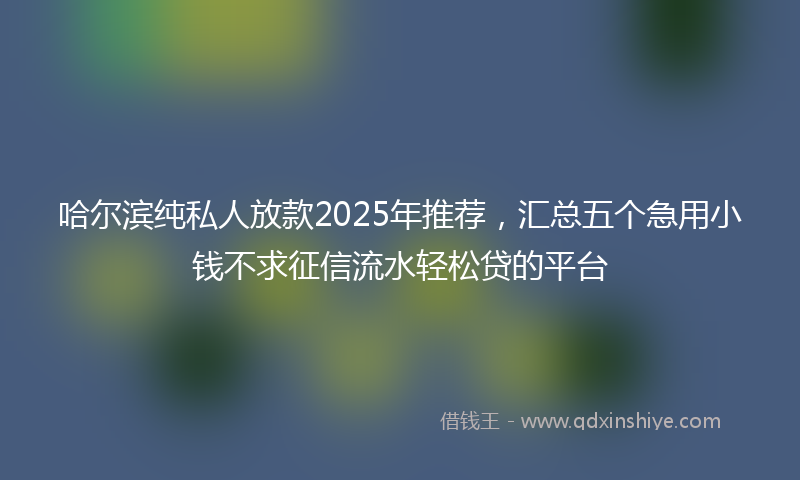 哈尔滨纯私人放款2025年推荐，汇总五个急用小钱不求征信流水轻松贷的平台