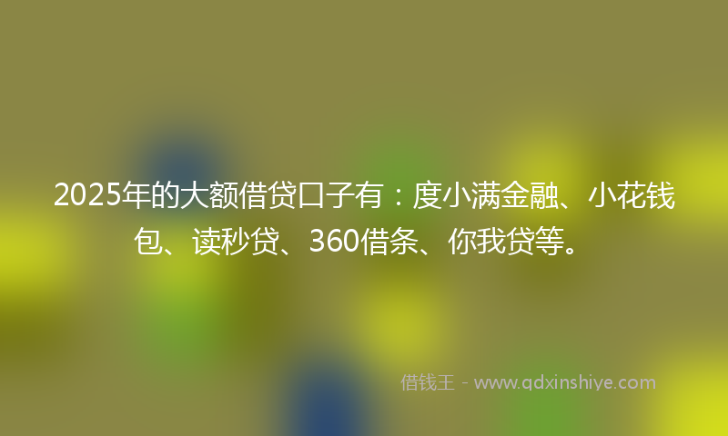 2025年的大额借贷口子有：度小满金融、小花钱包、读秒贷、360借条、你我贷等。