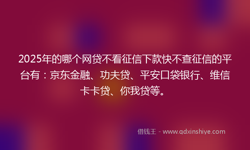 2025年的哪个网贷不看征信下款快不查征信的平台有：京东金融、功夫贷、平安口袋银行、维信卡卡贷、你我贷等。