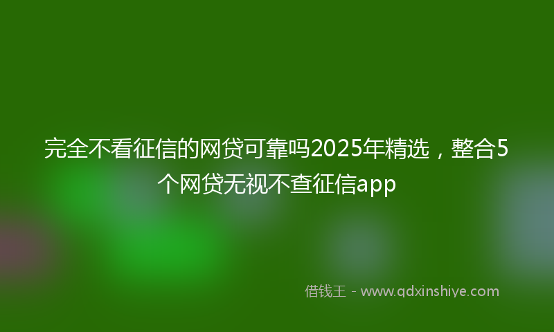 完全不看征信的网贷可靠吗2025年精选，整合5个网贷无视不查征信app