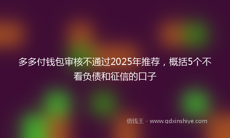 多多付钱包审核不通过2025年推荐，概括5个不看负债和征信的口子