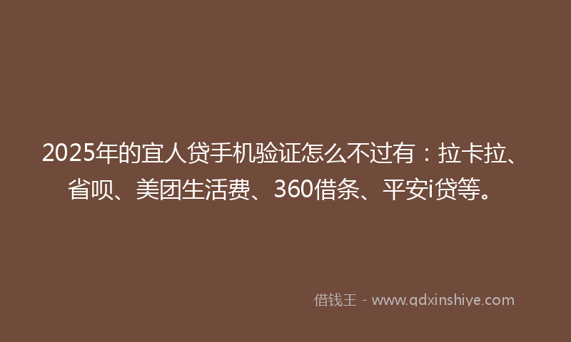 2025年的宜人贷手机验证怎么不过有：拉卡拉、省呗、美团生活费、360借条、平安i贷等。