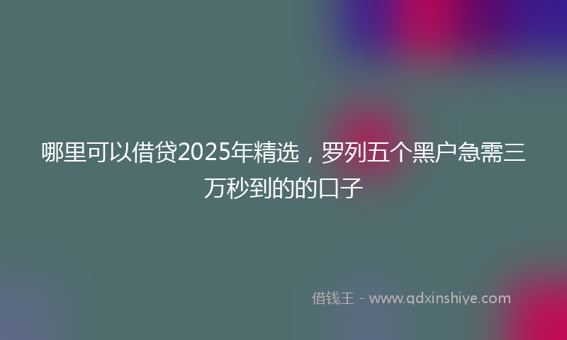 哪里可以借贷2025年精选，罗列五个黑户急需三万秒到的的口子