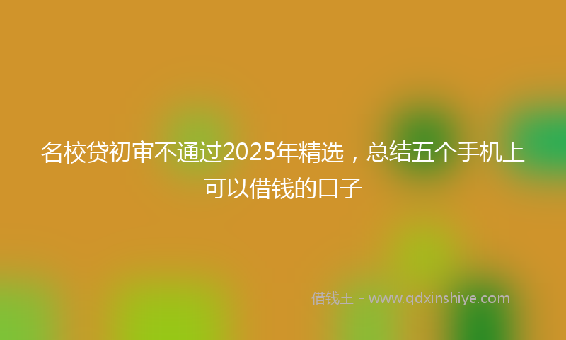 名校贷初审不通过2025年精选，总结五个手机上可以借钱的口子