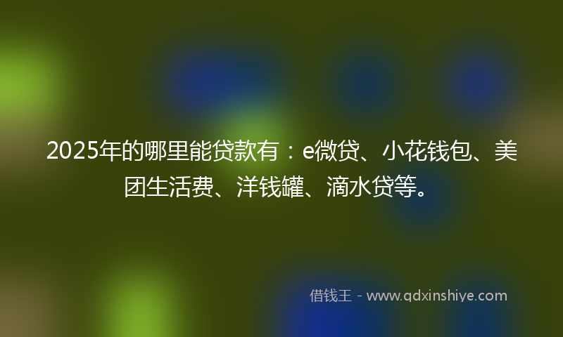 2025年的哪里能贷款有：e微贷、小花钱包、美团生活费、洋钱罐、滴水贷等。
