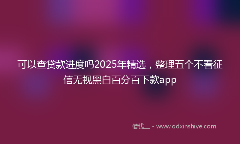 可以查贷款进度吗2025年精选，整理五个不看征信无视黑白百分百下款app