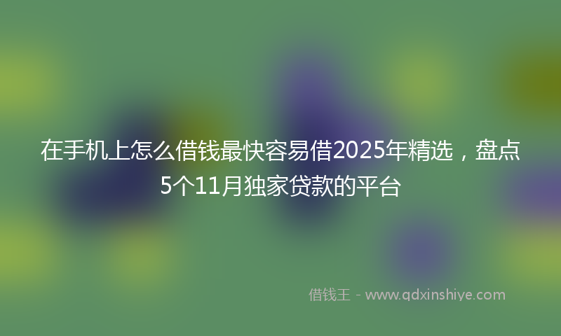 在手机上怎么借钱最快容易借2025年精选，盘点5个11月独家贷款的平台