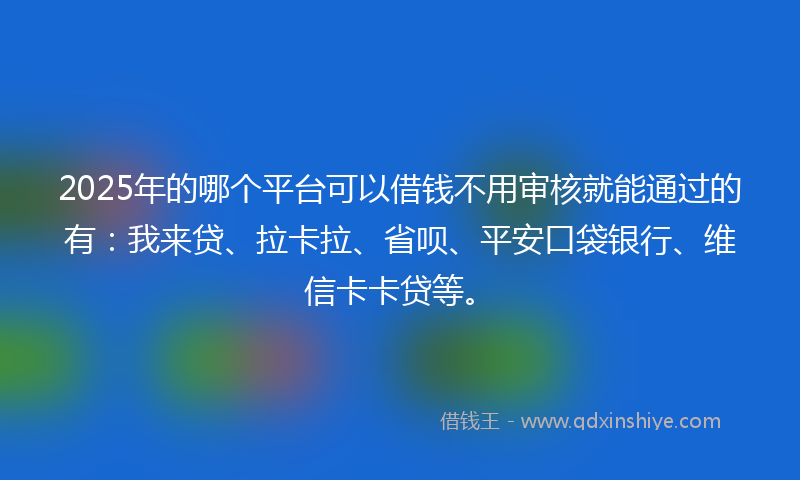 2025年的哪个平台可以借钱不用审核就能通过的有：我来贷、拉卡拉、省呗、平安口袋银行、维信卡卡贷等。