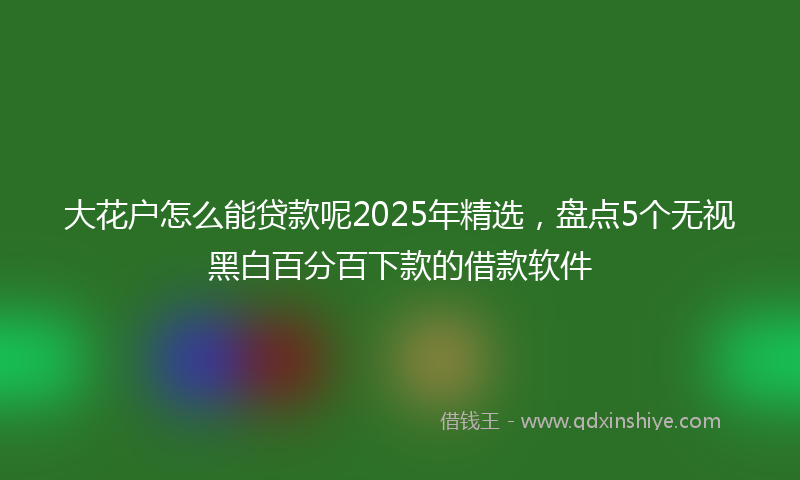 大花户怎么能贷款呢2025年精选，盘点5个无视黑白百分百下款的借款软件