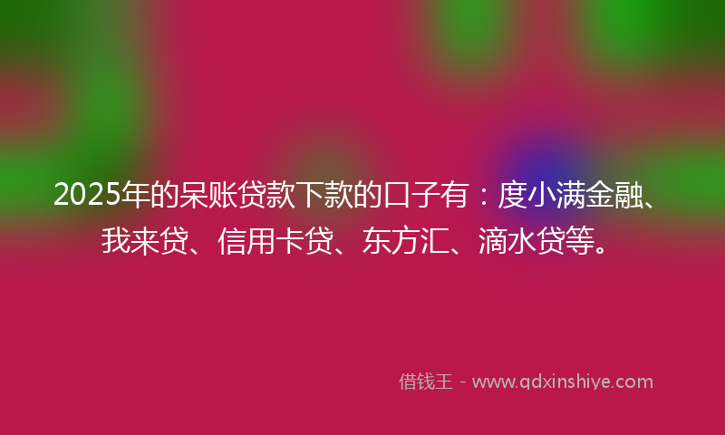 2025年的呆账贷款下款的口子有：度小满金融、我来贷、信用卡贷、东方汇、滴水贷等。