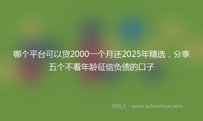 哪个平台可以贷2000一个月还2025年精选，分享五个不看年龄征信负债的口子