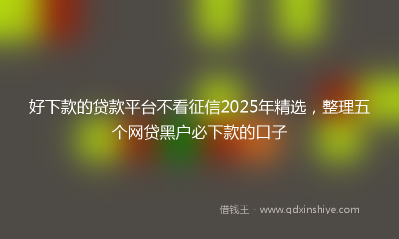 好下款的贷款平台不看征信2025年精选，整理五个网贷黑户必下款的口子