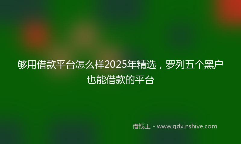 够用借款平台怎么样2025年精选，罗列五个黑户也能借款的平台