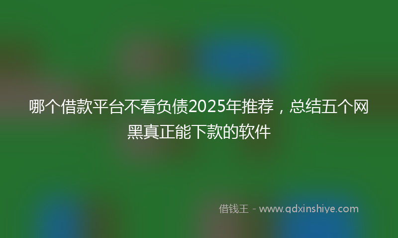 哪个借款平台不看负债2025年推荐，总结五个网黑真正能下款的软件