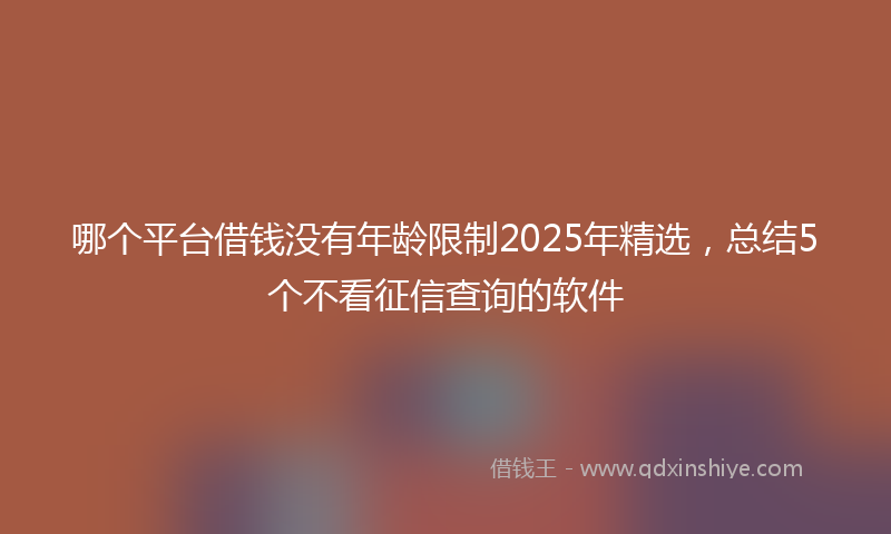 哪个平台借钱没有年龄限制2025年精选，总结5个不看征信查询的软件