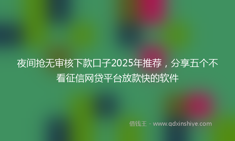夜间抢无审核下款口子2025年推荐，分享五个不看征信网贷平台放款快的软件