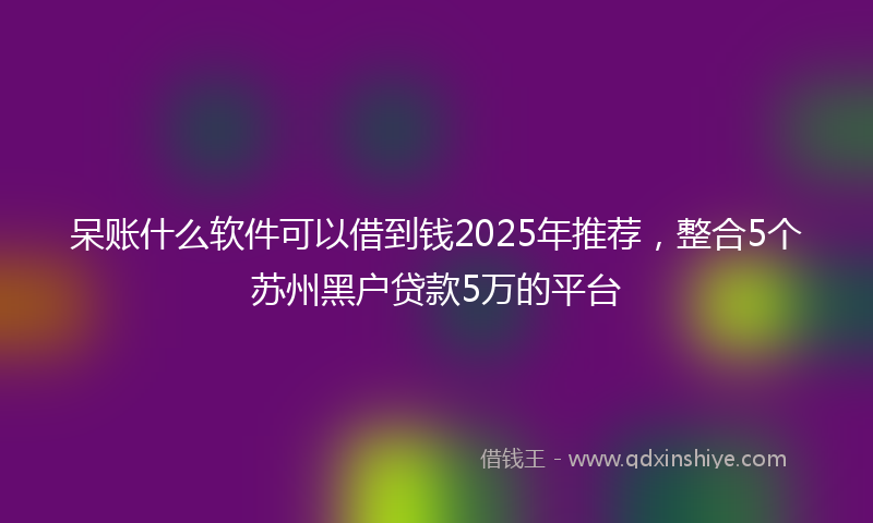 呆账什么软件可以借到钱2025年推荐，整合5个苏州黑户贷款5万的平台