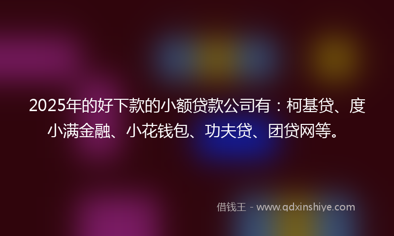 2025年的好下款的小额贷款公司有：柯基贷、度小满金融、小花钱包、功夫贷、团贷网等。