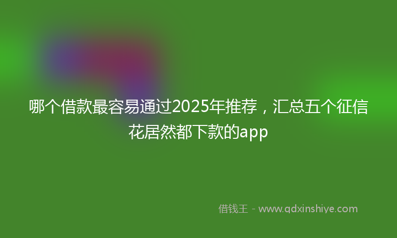 哪个借款最容易通过2025年推荐，汇总五个征信花居然都下款的app