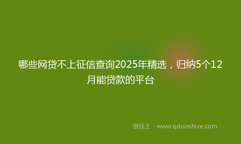哪些网贷不上征信查询2025年精选，归纳5个12月能贷款的平台