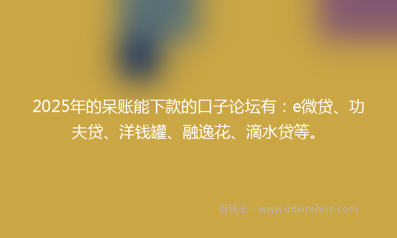 2025年的呆账能下款的口子论坛有：e微贷、功夫贷、洋钱罐、融逸花、滴水贷等。