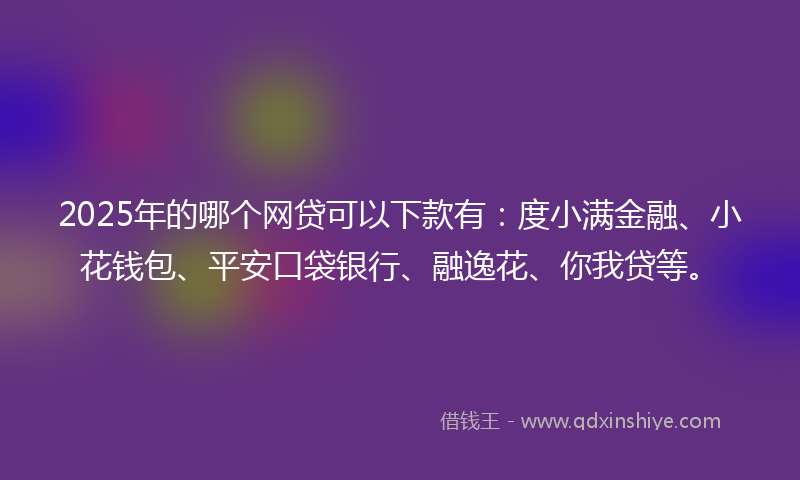 2025年的哪个网贷可以下款有：度小满金融、小花钱包、平安口袋银行、融逸花、你我贷等。