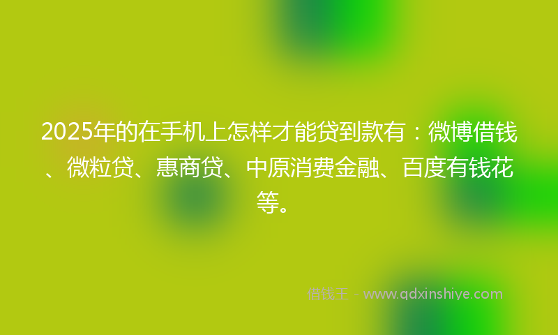2025年的在手机上怎样才能贷到款有：微博借钱、微粒贷、惠商贷、中原消费金融、百度有钱花等。