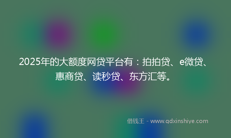 2025年的大额度网贷平台有：拍拍贷、e微贷、惠商贷、读秒贷、东方汇等。