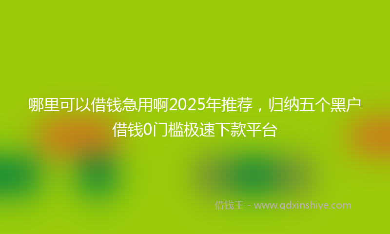 哪里可以借钱急用啊2025年推荐，归纳五个黑户借钱0门槛极速下款平台